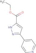 Ethyl 3-(pyridin-4-yl)pyrazole-5-carboxylate