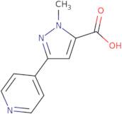 1-Methyl-3-(pyridin-4-yl)-1H-pyrazole-5-carboxylic acid