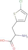 3-(5-Chlorothien-2-yl)-L-alanine