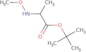 tert-Butyl 2-(methoxyamino)propanoate