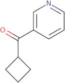 3-Cyclobutanecarbonylpyridine