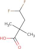 4,4-Difluoro-2,2-dimethylbutanoic acid