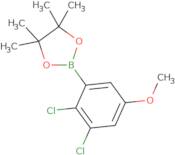 2-(2,3-Dichloro-5-methoxyphenyl)-4,4,5,5-tetramethyl-1,3,2-dioxaborolane