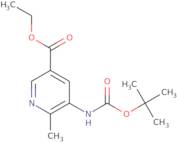 Ethyl 5-([(Tert-Butoxy)Carbonyl]Amino)-6-Methylpyridine-3-Carboxylate