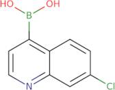 7-Chloroquinoline-4-boronic acid