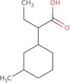 2-(3-Methylcyclohexyl)butanoic acid