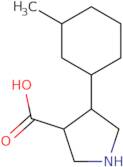 4-(3-Methylcyclohexyl)pyrrolidine-3-carboxylic acid