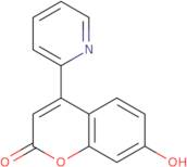 7-Hydroxy-4-(pyridin-2-yl)coumarin