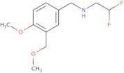 (2,2-Difluoroethyl)({[4-methoxy-3-(methoxymethyl)phenyl]methyl})amine