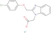 Potassium 2-[2-(4-chlorophenoxymethyl)-1H-1,3-benzodiazol-1-yl]acetate