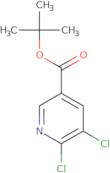 tert-Butyl 5,6-dichloropyridine-3-carboxylate