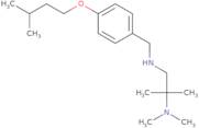 Dimethyl[2-methyl-1-({[4-(3-methylbutoxy)phenyl]methyl}amino)propan-2-yl]amine