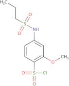 2-Methoxy-4-(propane-1-sulfonamido)benzene-1-sulfonyl chloride