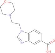 1-(2-Morpholin-4-ylethyl)-1H-benzimidazole-5-carboxylic acid