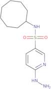 N-Cyclooctyl-6-hydrazinylpyridine-3-sulfonamide