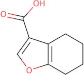 4,5,6,7-Tetrahydro-1-benzofuran-3-carboxylic acid