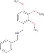 Benzyl-(2,3,4-trimethoxy-benzyl)-amine