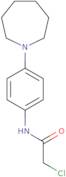 N-[4-(Azepan-1-yl)phenyl]-2-chloroacetamide