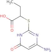 2-(6-Amino-4-oxo-1,4-dihydro-pyrimidin-2-yl-sulfanyl)-butyric acid