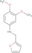 (3,4-Dimethoxy-phenyl)-furan-2-ylmethyl-amine