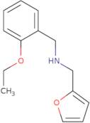 (2-Ethoxy-benzyl)-furan-2-ylmethyl-amine