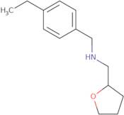 (4-Ethyl-benzyl)-(tetrahydro-furan-2-ylmethyl)-amine