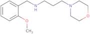 (2-Methoxy-benzyl)-(3-morpholin-4-yl-propyl)-amine