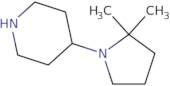 4-(2,2-Dimethylpyrrolidin-1-yl)piperidine