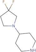 4-(3,3-Difluoropyrrolidin-1-yl)piperidine