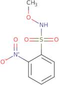 N-Methoxy-2-nitrobenzenesulfonamide