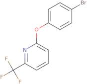 2-(4-Bromophenoxy)-6-(trifluoromethyl)pyridine