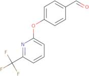 4-{[6-(Trifluoromethyl)pyridin-2-yl]oxy}benzaldehyde