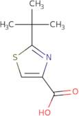 2-tert-Butyl-1,3-thiazole-4-carboxylic acid