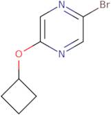 2-Bromo-5-cyclobutoxypyrazine