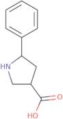 5-Phenyl-pyrrolidine-3-carboxylic acid