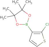 2-(2-Chlorothiophen-3-yl)-4,4,5,5-tetramethyl-1,3,2-dioxaborolane