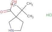 3-tert-Butylpyrrolidine-3-carboxylic acid hydrochloride