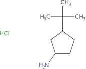 3-tert-Butylcyclopentan-1-amine hydrochloride