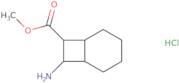 Methyl 8-aminobicyclo[4.2.0]octane-7-carboxylate hydrochloride