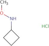 N-Methoxycyclobutanamine hydrochloride