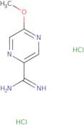 5-Methoxypyrazine-2-carboximidamide dihydrochloride