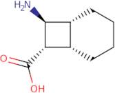 rac-(1R,6S,7S,8S)-8-Aminobicyclo[4.2.0]octane-7-carboxylic acid