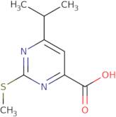 (1R,2R)-Ethyl 2-(tert-butoxycarbonyl)cyclohexanecarboxylate