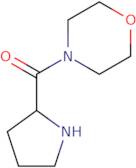 4-[(2R)-Pyrrolidine-2-carbonyl]morpholine