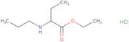 Ethyl 2-(propylamino)butanoate hydrochloride