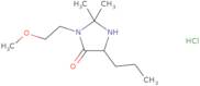 3-(2-Methoxyethyl)-2,2-dimethyl-5-propylimidazolidin-4-one hydrochloride