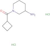 1-Cyclobutanecarbonylpiperidin-3-amine dihydrochloride