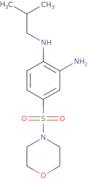 1-N-(2-Methylpropyl)-4-(morpholine-4-sulfonyl)benzene-1,2-diamine