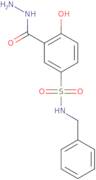 N-Benzyl-3-(hydrazinecarbonyl)-4-hydroxybenzene-1-sulfonamide