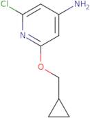 2-Chloro-6-(cyclopropylmethoxy)pyridin-4-amine